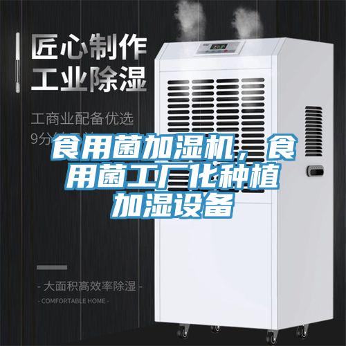 食用菌加濕機(jī)，食用菌工廠化種植加濕設(shè)備