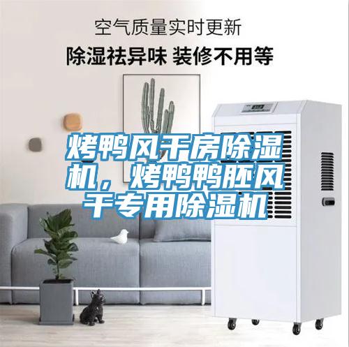 烤鴨風(fēng)干房除濕機(jī)，烤鴨鴨胚風(fēng)干專用除濕機(jī)
