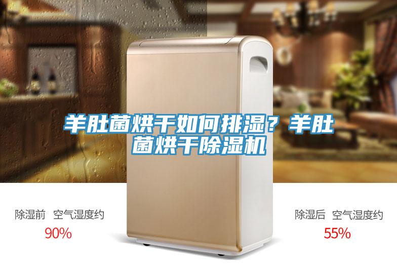 羊肚菌烘干如何排濕？羊肚菌烘干除濕機(jī)