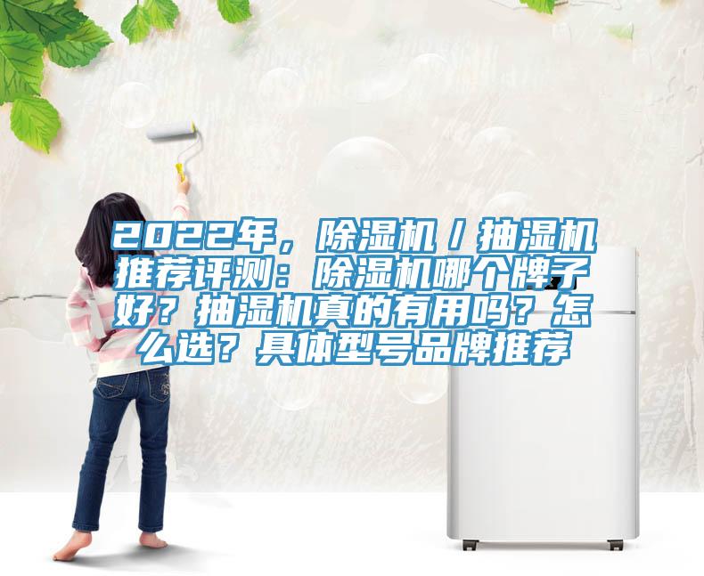 2022年，除濕機／抽濕機推薦評測：除濕機哪個牌子好？抽濕機真的有用嗎？怎么選？具體型號品牌推薦