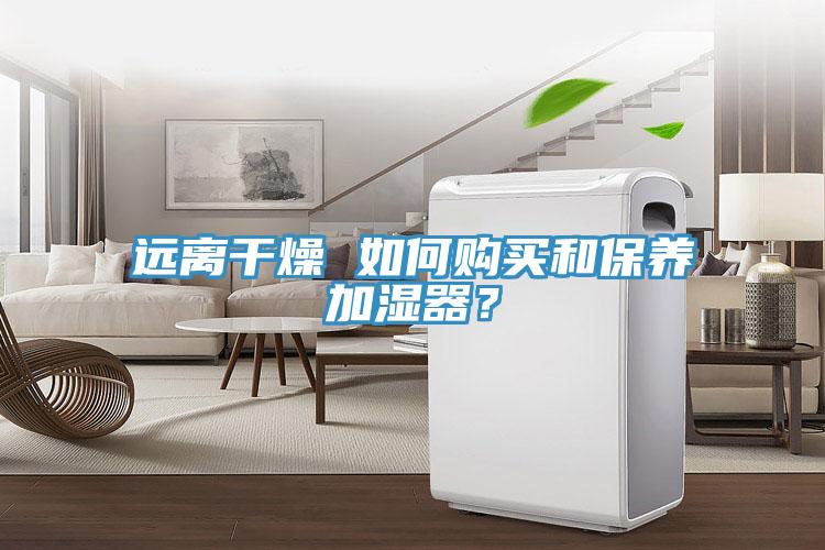 遠(yuǎn)離干燥 如何購(gòu)買(mǎi)和保養(yǎng)加濕器？