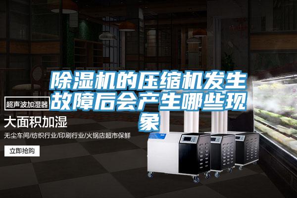 除濕機的壓縮機發(fā)生故障后會產生哪些現(xiàn)象