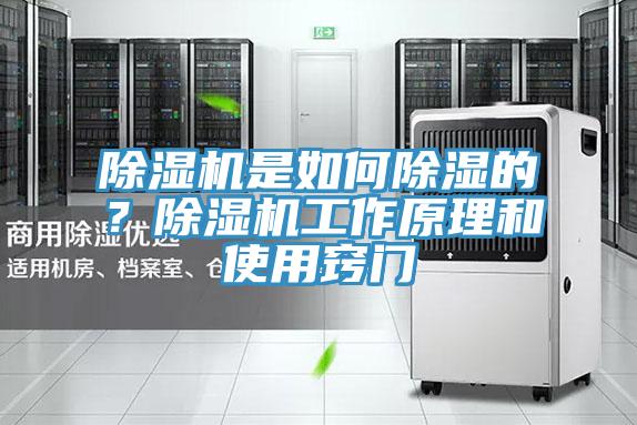 除濕機是如何除濕的？除濕機工作原理和使用竅門
