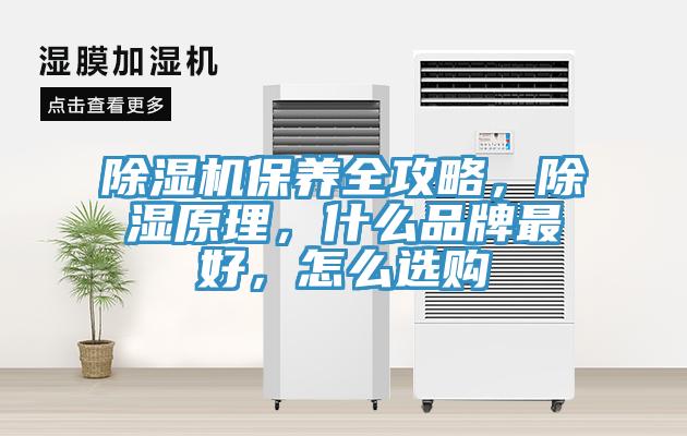 除濕機(jī)保養(yǎng)全攻略，除濕原理，什么品牌最好，怎么選購(gòu)