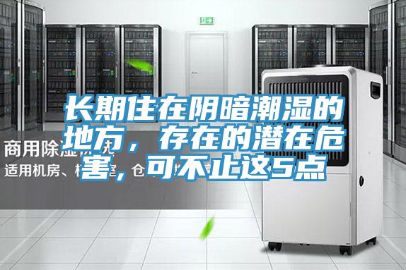 長期住在陰暗潮濕的地方，存在的潛在危害，可不止這5點