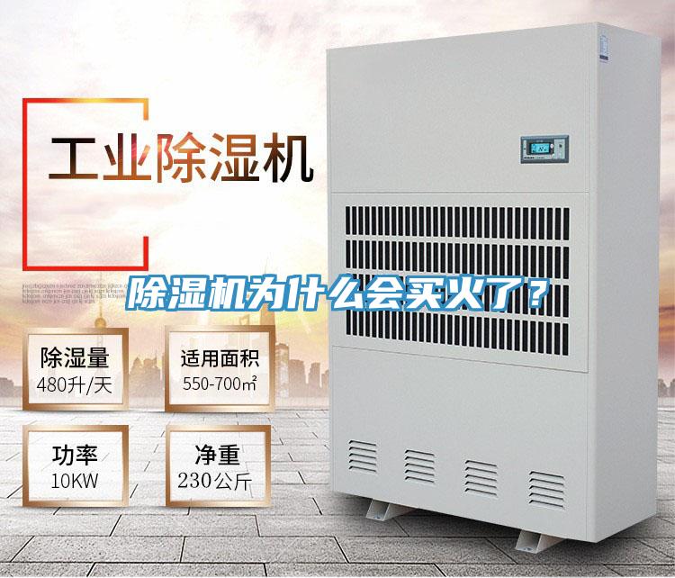 除濕機(jī)為什么會買火了？