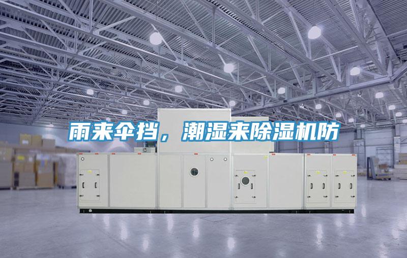 雨來傘擋，潮濕來除濕機(jī)防