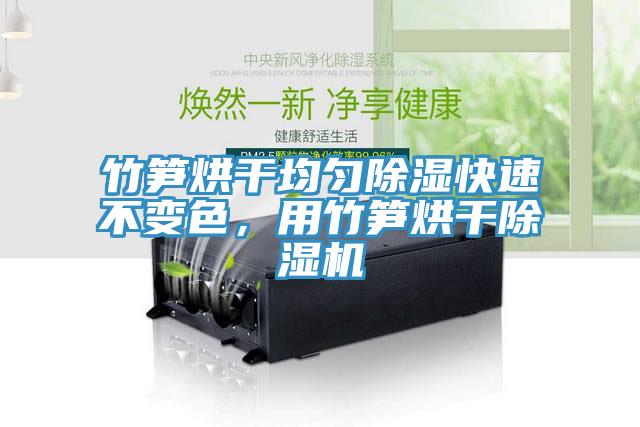 竹筍烘干均勻除濕快速不變色，用竹筍烘干除濕機(jī)