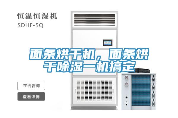 面條烘干機(jī)，面條烘干除濕一機(jī)搞定