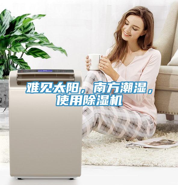 難見太陽，南方潮濕，使用除濕機