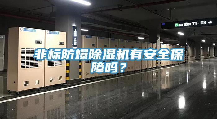 非標防爆除濕機有安全保障嗎？