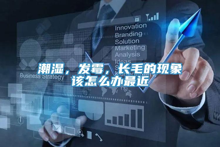 潮濕，發(fā)霉，長毛的現(xiàn)象該怎么辦最近