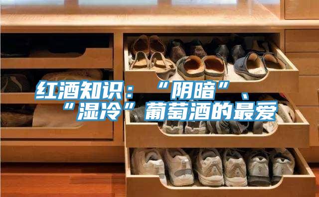 紅酒知識(shí)：“陰暗”、“濕冷”葡萄酒的最愛