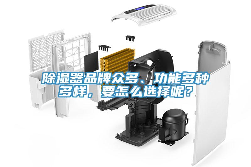除濕器品牌眾多、功能多種多樣，要怎么選擇呢？