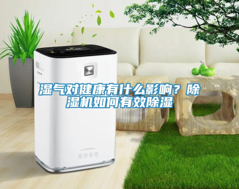 濕氣對健康有什么影響？除濕機如何有效除濕