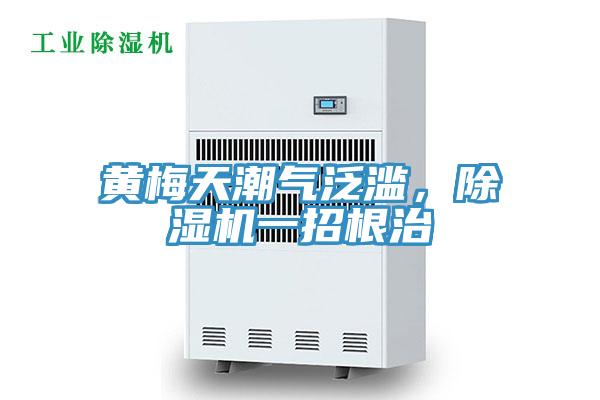 黃梅天潮氣泛濫，除濕機(jī)一招根治