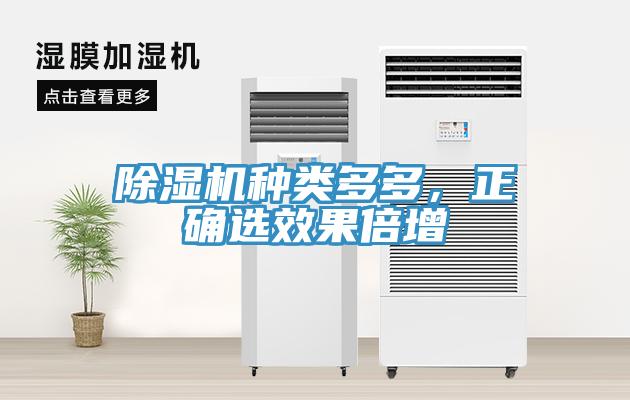 除濕機種類多多，正確選效果倍增