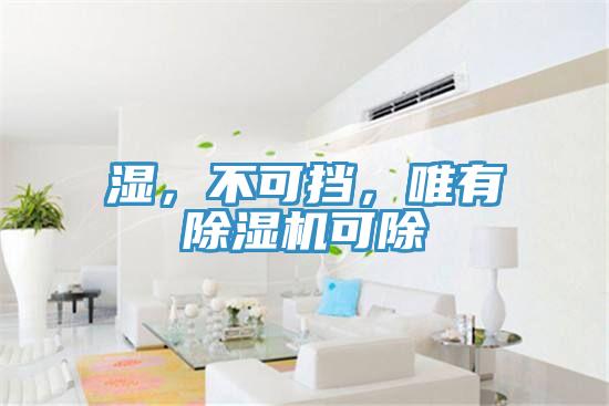 濕，不可擋，唯有除濕機(jī)可除