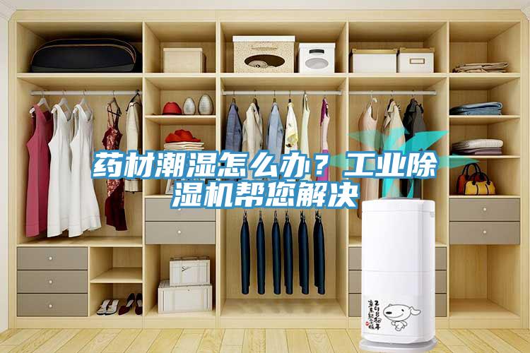 藥材潮濕怎么辦？工業(yè)除濕機幫您解決