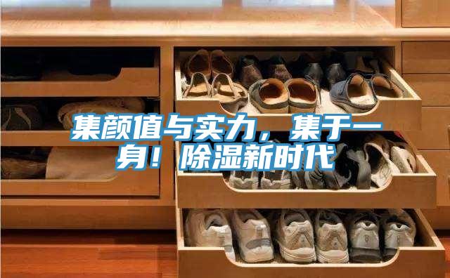 集顏值與實力，集于一身！除濕新時代