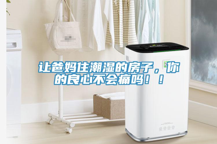 讓爸媽住潮濕的房子，你的良心不會痛嗎??！