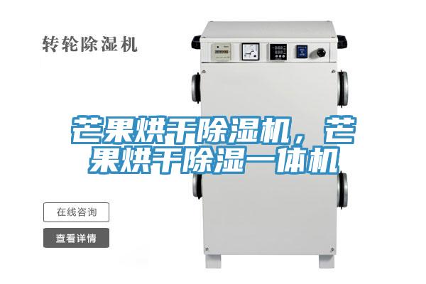 芒果烘干除濕機，芒果烘干除濕一體機