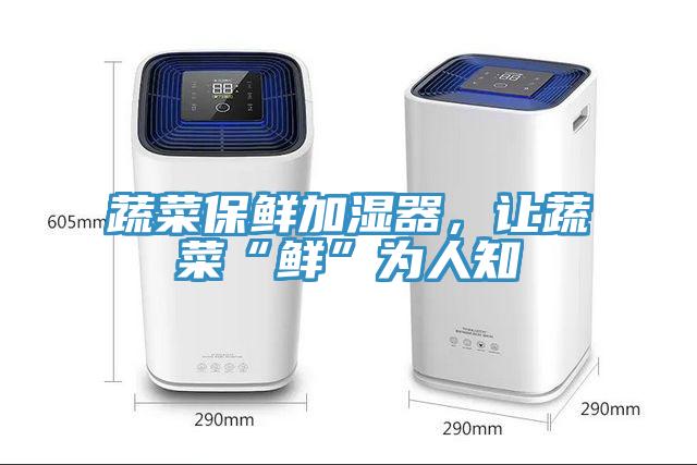 蔬菜保鮮加濕器，讓蔬菜“鮮”為人知
