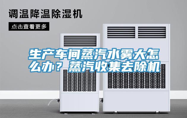 生產(chǎn)車間蒸汽水霧大怎么辦？蒸汽收集去除機