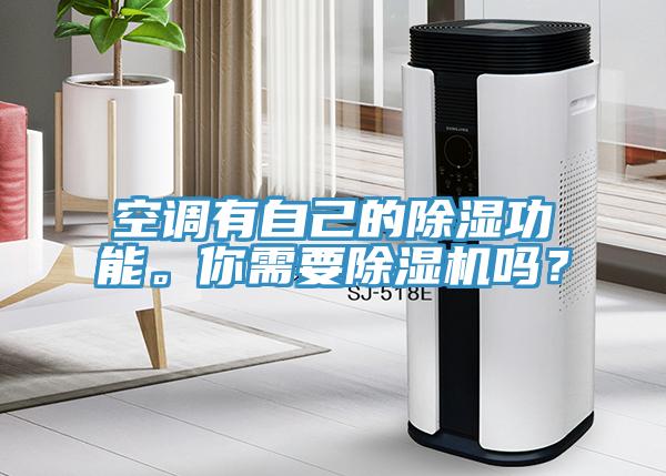 空調(diào)有自己的除濕功能。你需要除濕機嗎？