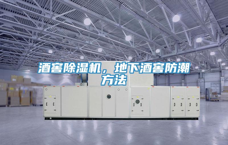 酒窖除濕機，地下酒窖防潮方法