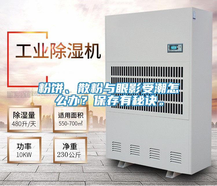 粉餅、散粉與眼影受潮怎么辦？保存有秘訣。