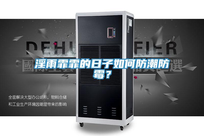 淫雨霏霏的日子如何防潮防霉？