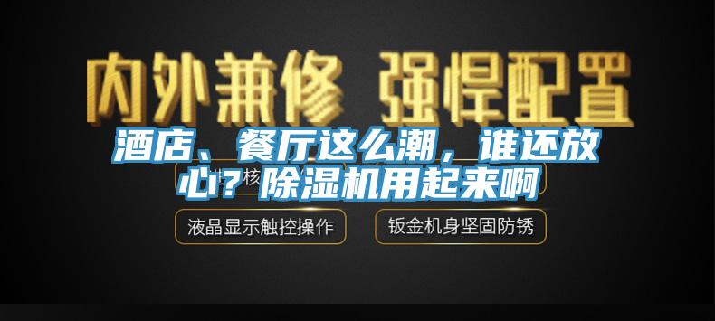 酒店、餐廳這么潮，誰還放心？除濕機用起來啊