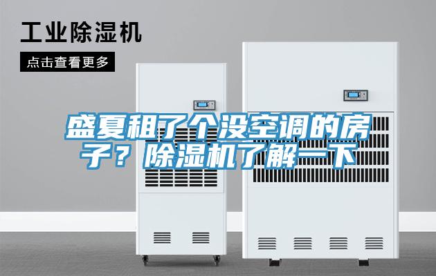 盛夏租了個沒空調(diào)的房子？除濕機了解一下