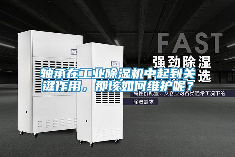軸承在工業(yè)除濕機(jī)中起到關(guān)鍵作用，那該如何維護(hù)呢？