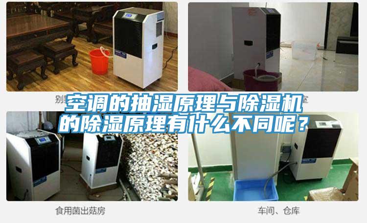 空調(diào)的抽濕原理與除濕機的除濕原理有什么不同呢？
