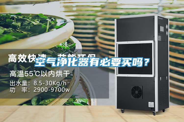 空氣凈化器有必要買(mǎi)嗎？