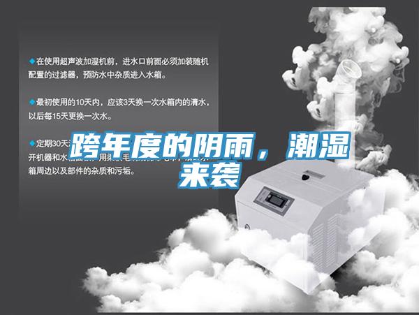 跨年度的陰雨，潮濕來襲