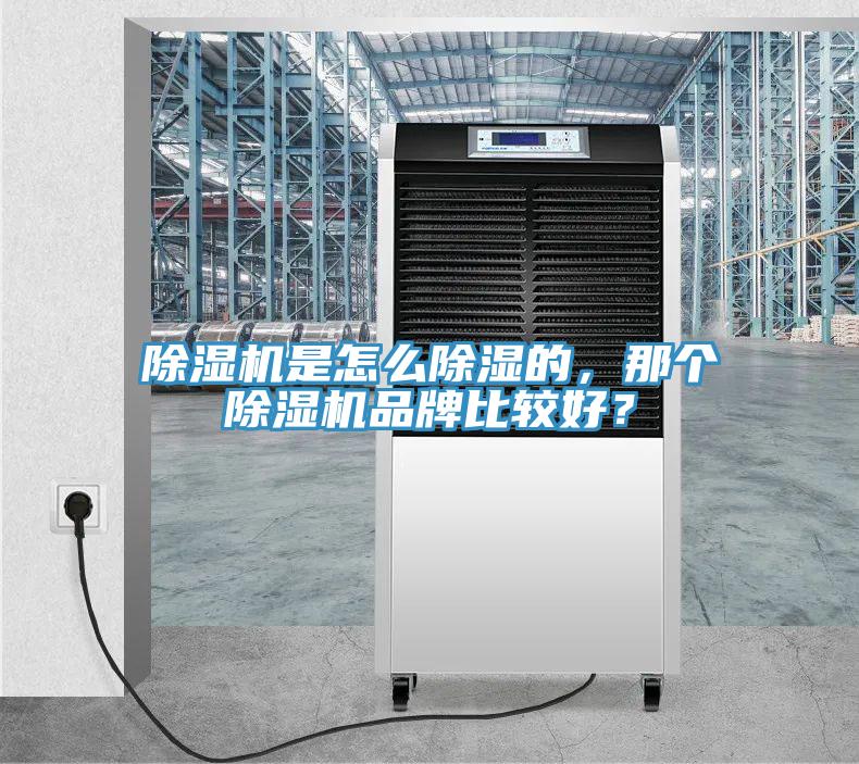 除濕機是怎么除濕的，那個除濕機品牌比較好？