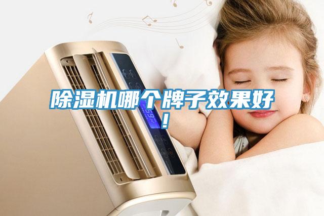 除濕機(jī)哪個牌子效果好！