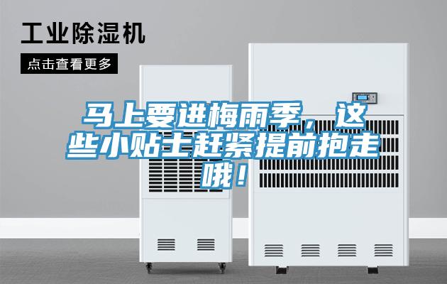 馬上要進(jìn)梅雨季，這些小貼士趕緊提前抱走哦！