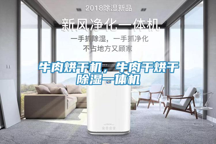 牛肉烘干機，牛肉干烘干除濕一體機