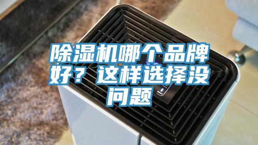 除濕機(jī)哪個品牌好？這樣選擇沒問題