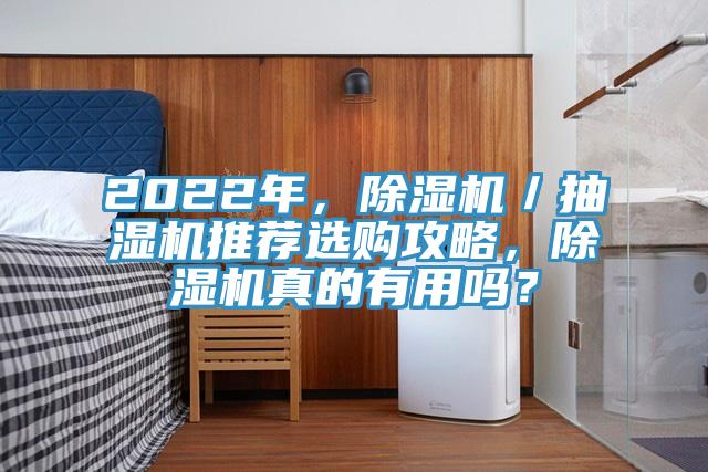 2022年，除濕機／抽濕機推薦選購攻略，除濕機真的有用嗎？