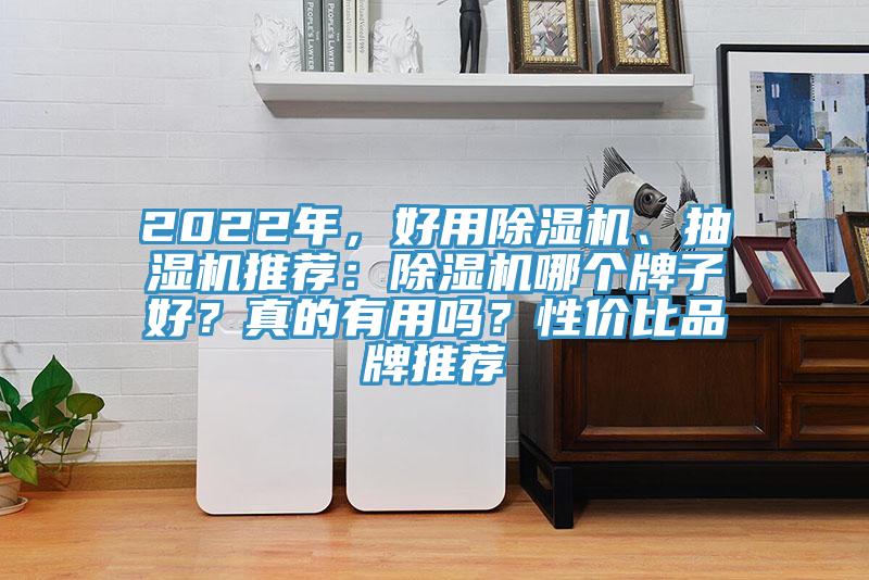 2022年，好用除濕機、抽濕機推薦：除濕機哪個牌子好？真的有用嗎？性價比品牌推薦