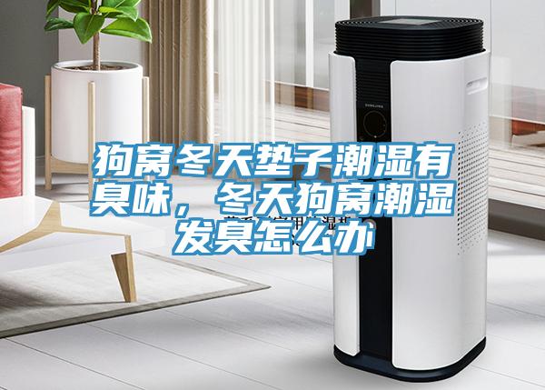 狗窩冬天墊子潮濕有臭味，冬天狗窩潮濕發(fā)臭怎么辦