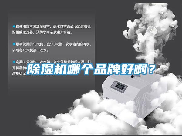 除濕機(jī)哪個品牌好?。?></div>
								<div   id=
