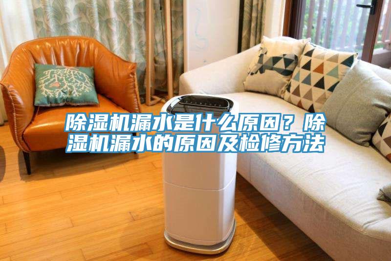 除濕機(jī)漏水是什么原因？除濕機(jī)漏水的原因及檢修方法