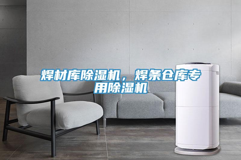 焊材庫(kù)除濕機(jī)，焊條倉(cāng)庫(kù)專用除濕機(jī)