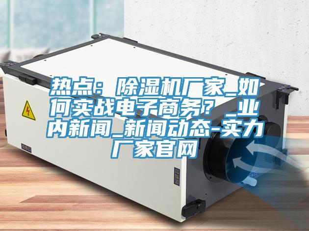 熱點：除濕機廠家_如何實戰(zhàn)電子商務？_業(yè)內新聞_新聞動態(tài)-實力廠家官網(wǎng)
